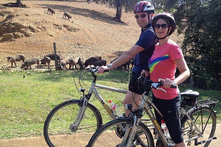 Full-Day Private E-Bike Tour in Sierra Norte Natural Park from Seville