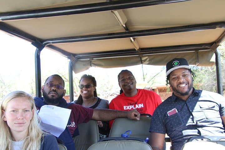 Pilanesberg 3-Hour Afternoon Open-Top Safari Drive (Self-Drive)