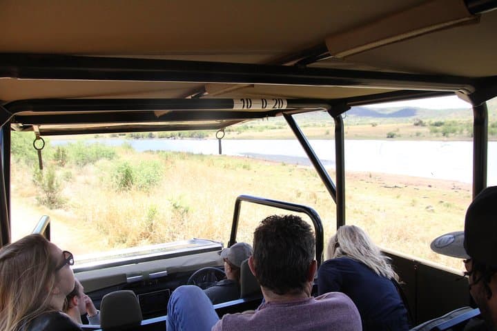 Pilanesberg 3-Hour Afternoon Open-Top Safari Drive (Self-Drive) photo 4