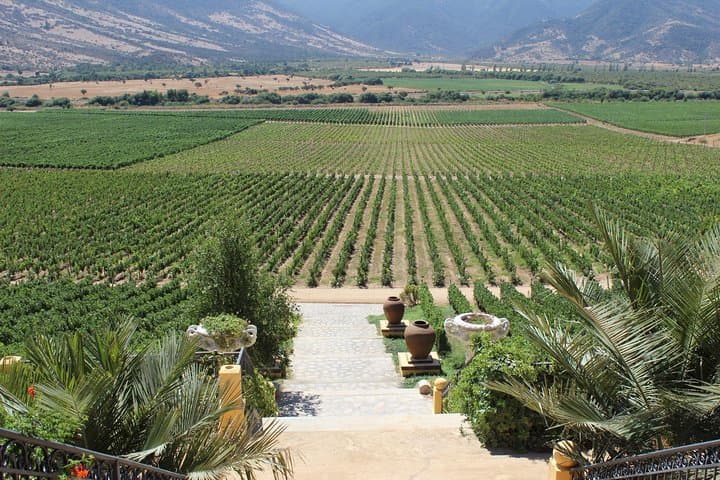 Valparaiso & Casablanca Wine Day Trip from Santiago: Private Tour Guide photo 6