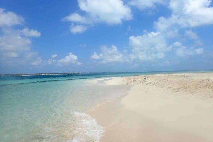 Gibbs Cay Stingray Swim and Live Conch Dive — Grand Turk Day Trip photo 6