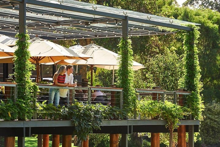 Perth to Leeuwin Estate: Scenic Flight & Winery Lunch in Margaret River photo 3