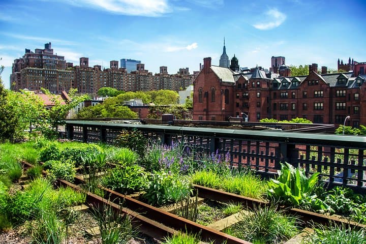 Meatpacking District, Chelsea Market & High Line Semi‑Private Walking Tour — NYC Neighborhood History, Food & Architecture