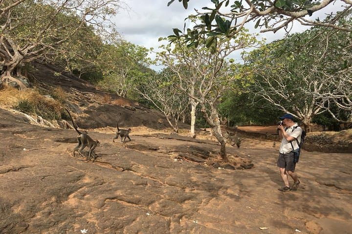 Sigiriya Rock Fortress & Dambulla Cave Temple Day Tour from Colombo photo 2
