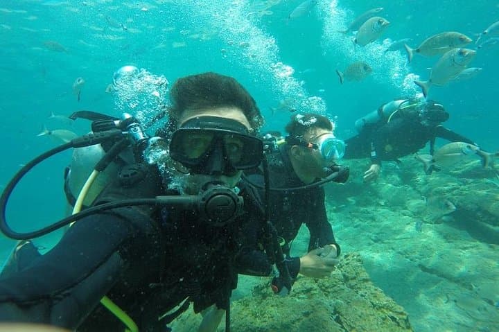 Scuba Diving from Bodrum: Aegean Amphora Fields & Shallow Reefs photo 2