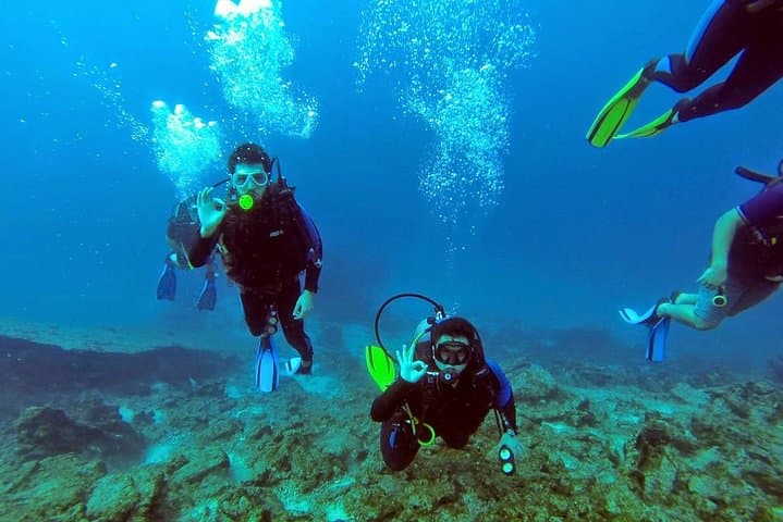 Scuba Diving from Bodrum: Aegean Amphora Fields & Shallow Reefs photo 3