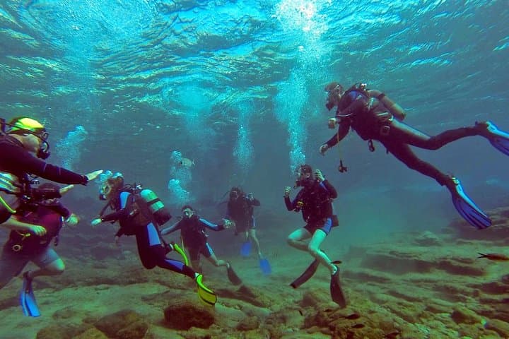 Scuba Diving from Bodrum: Aegean Amphora Fields & Shallow Reefs photo 4