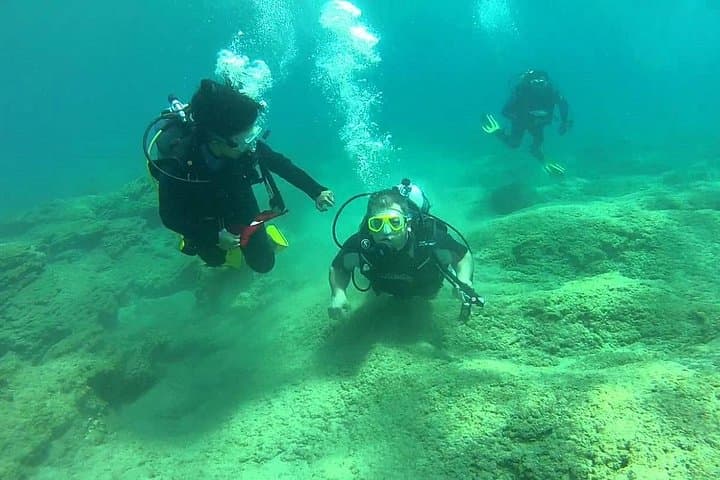 Scuba Diving from Dalyan — Aegean Discover Dive & Boat Trip photo 5