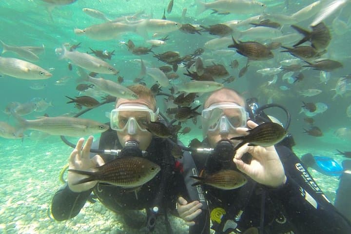 Scuba Diving from Sarigerme: Aegean Day Dives to Ancient Reefs photo 5