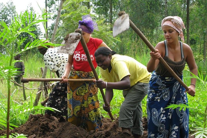 Hands-On Traditional Construction Workshop in Rural Rwanda photo 5