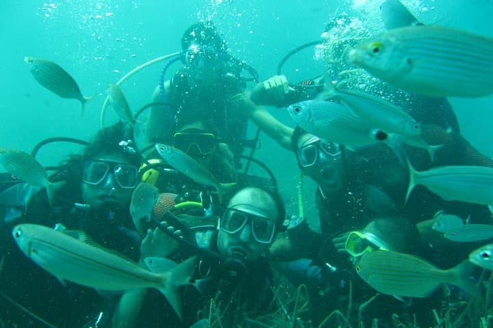 Scuba Diving from Bodrum: Aegean Amphora Fields & Shallow Reefs photo 5