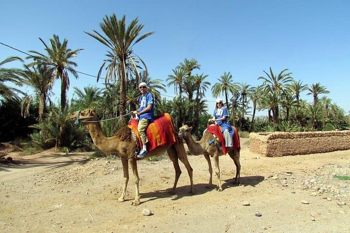 Marrakech Palm Groves Camel Ride — Half-Day Camel Trek with Mint Tea photo 3