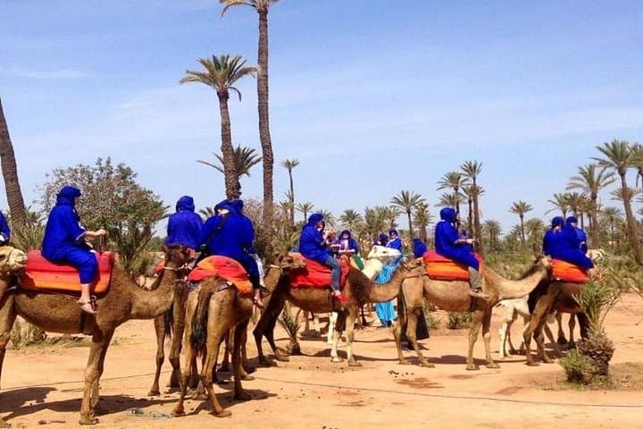 Marrakech Palm Groves Camel Ride — Half-Day Camel Trek with Mint Tea photo 4