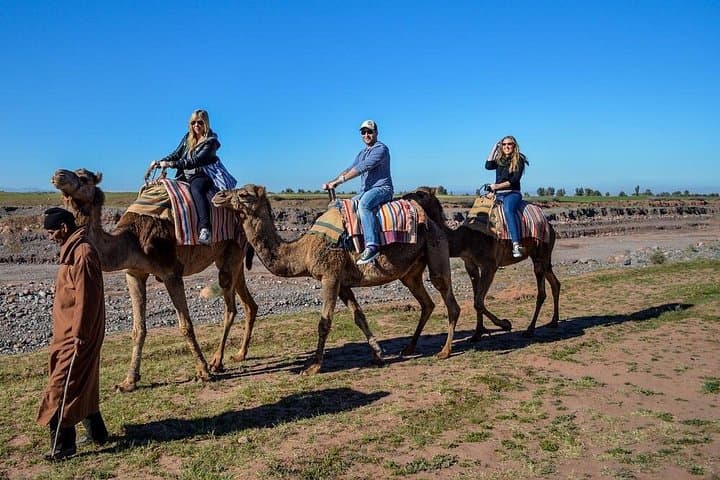 Marrakech Palm Groves Camel Ride — Half-Day Camel Trek with Mint Tea photo 5