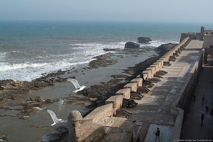Essaouira Full-Day Trip From Marrakech: Explore the Medina, Port & Argan Groves photo 2