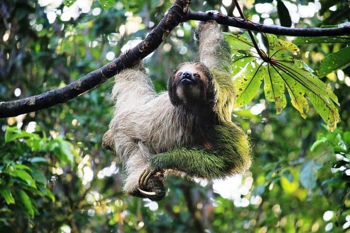 Arenal Volcano Full-Day Combo: Zipline, Waterfalls & Thermal Springs photo 4