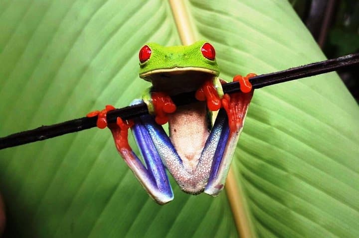 Arenal Volcano Full-Day Combo: Zipline, Waterfalls & Thermal Springs photo 2