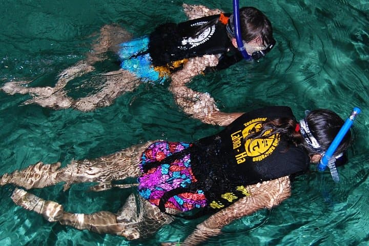 Snorkel with Sea Turtles & Swim a Cenote — Turtle Snorkeling Adventure from Cancun photo 2
