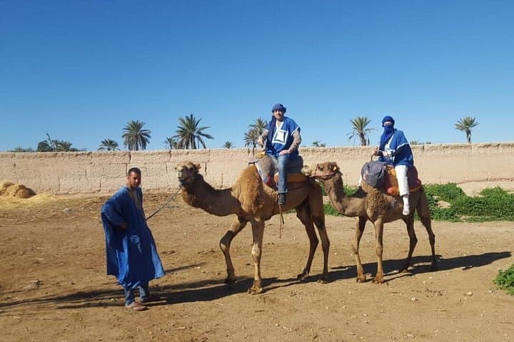 Marrakech Palm Groves Camel Ride — Half-Day Camel Trek with Mint Tea photo 6