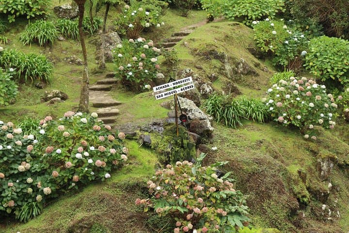 Off-Road Northeast Azores Jeep Tour: Waterfalls, Tea & Coastal Cliffs photo 6