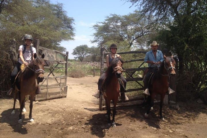 Ride to the Pyramids of Sicán: 4-Hour Horseback through Pómac Dry Forest photo 3