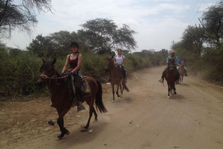 Ride to the Pyramids of Sicán: 4-Hour Horseback through Pómac Dry Forest photo 4