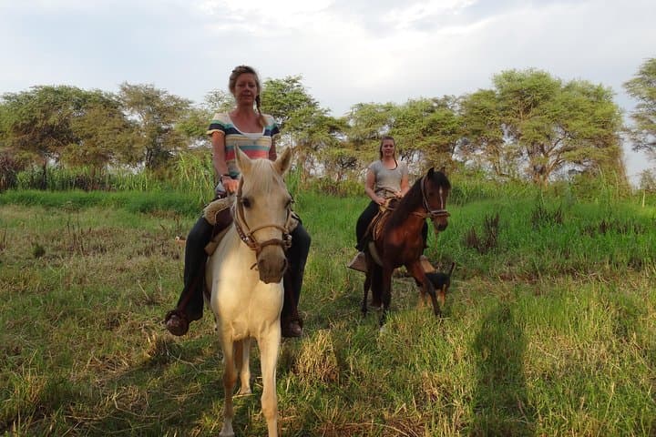 Ride to the Pyramids of Sicán: 4-Hour Horseback through Pómac Dry Forest photo 5