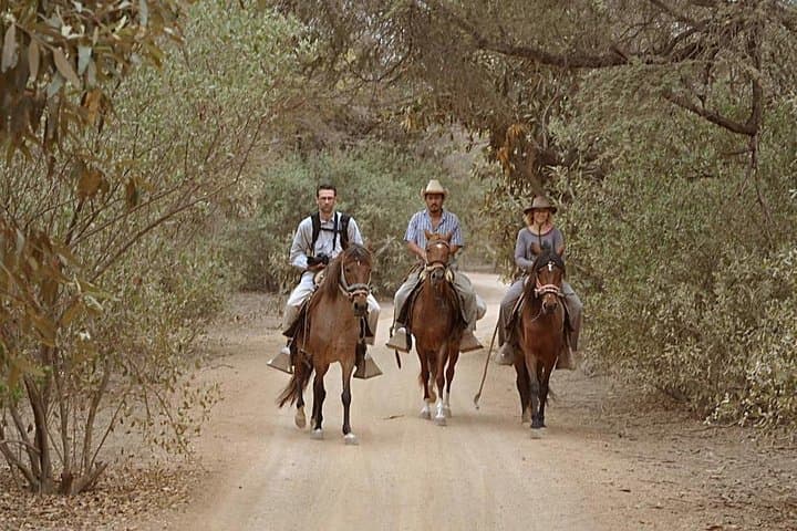 Ride to the Pyramids of Sicán: 4-Hour Horseback through Pómac Dry Forest photo 6
