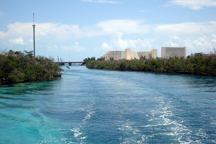 Cancún Mangrove Channel Speedboat Tour through Nichupté Lagoon photo 4