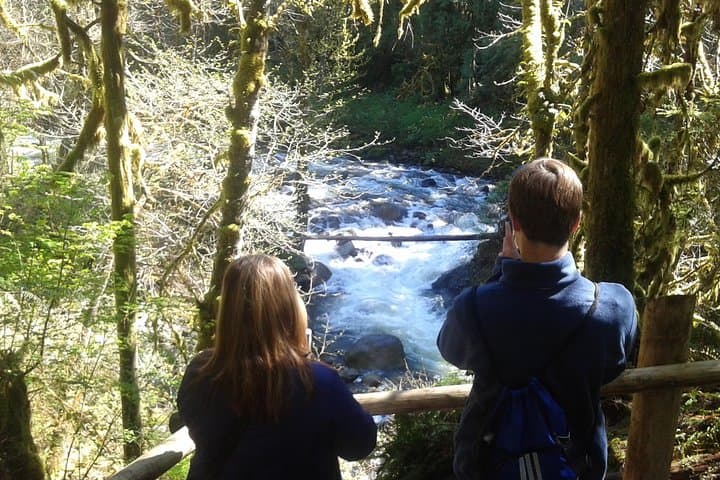 Snoqualmie Falls & Cascade Mountains Day Tour from Seattle — Leavenworth Option photo 3