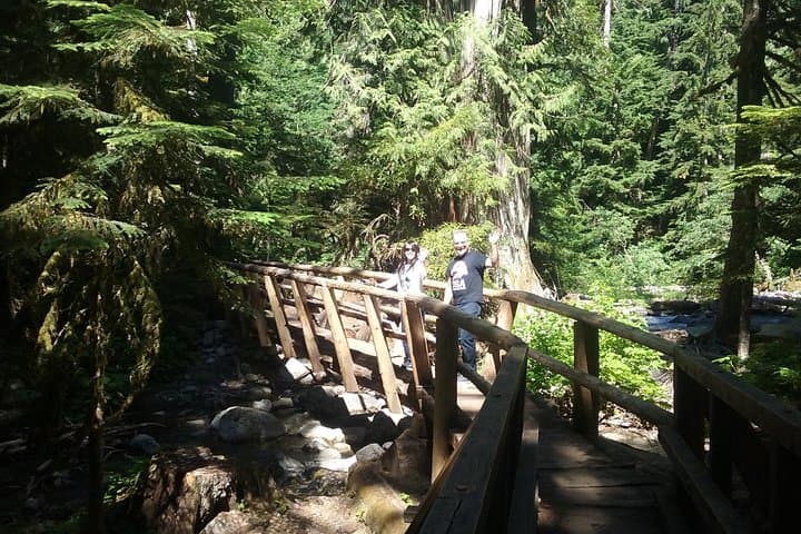 Snoqualmie Falls & Cascade Mountains Day Tour from Seattle — Leavenworth Option photo 4