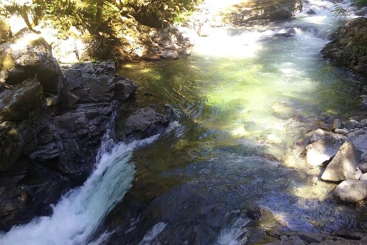 Snoqualmie Falls & Cascade Mountains Day Tour from Seattle — Leavenworth Option photo 5