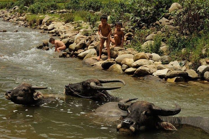 Sapa Two-Day Trek and Homestay in Ta Van Village from Hanoi photo 6