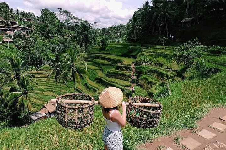 Ubud Cultural Day Tour: Monkey Forest, Tegalalang & Tegenungan Waterfall photo 3