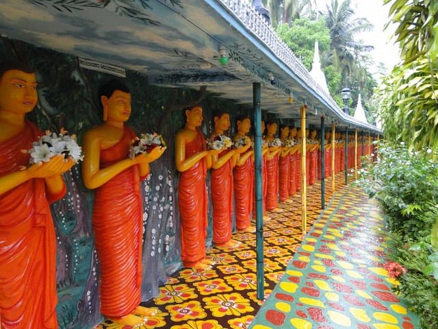 Bentota Village Tour: River Safari, Turtle Hatchery & Kande Viharaya Temple photo 3