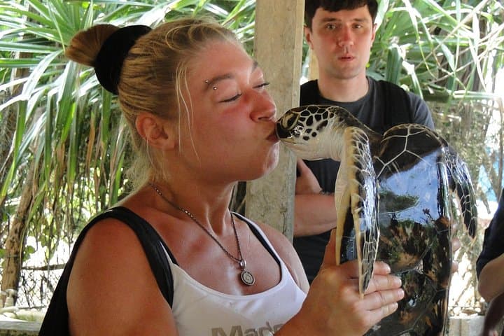 Bentota Village Tour: River Safari, Turtle Hatchery & Kande Viharaya Temple photo 4