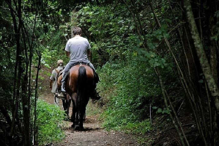 90-Minute Small-Group Horseback Ride Through the Tuscan Countryside near Lucca photo 3