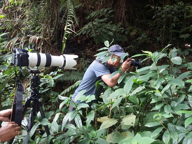 Sinharaja Rain Forest One-Day Guided Hike from Bentota photo 3