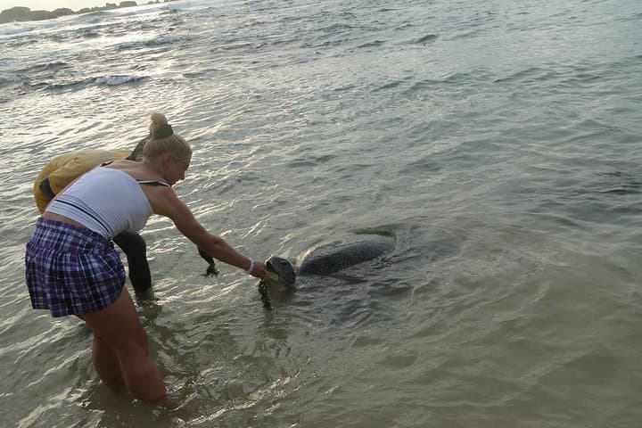 Galle One-Day Tour: Turtle Hatchery, Madu River Safari & Dutch Fort photo 5