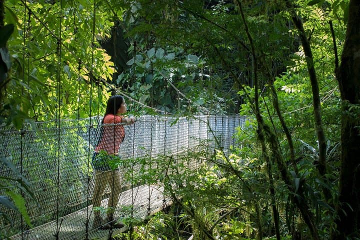 Arenal Hanging Bridges: Canopy Hike Through Costa Rica’s Rainforest photo 5