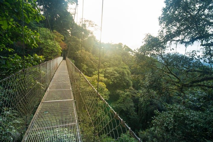 Arenal Hanging Bridges: Canopy Hike Through Costa Rica’s Rainforest photo 3