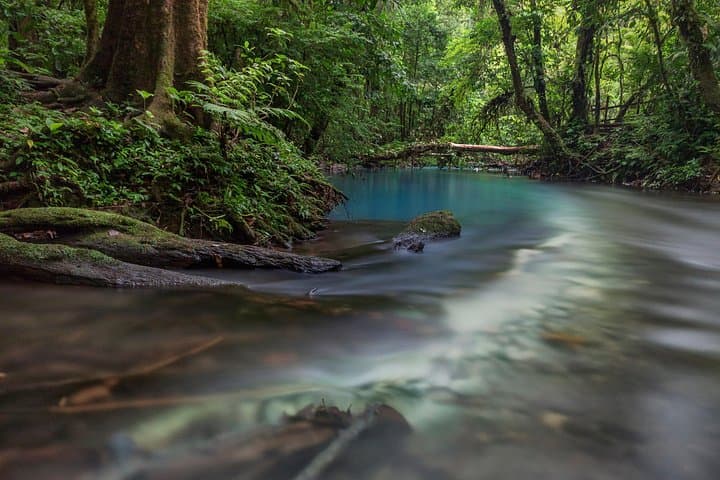 Rio Celeste Hike: Tenorio Volcano National Park Day Trek from La Fortuna photo 3