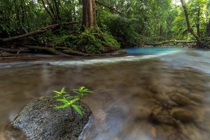 Rio Celeste Hike: Tenorio Volcano National Park Day Trek from La Fortuna photo 4