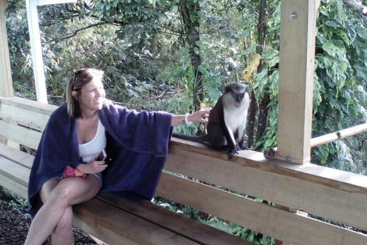 Concord Waterfall and Chocolate Factory Half‑Day Tour — Grenada’s West Coast & Rainforest photo 4