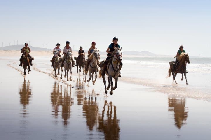 Horseback Riding on Essaouira Beach: 2-Hour Dunes, Forest & Atlantic Ride