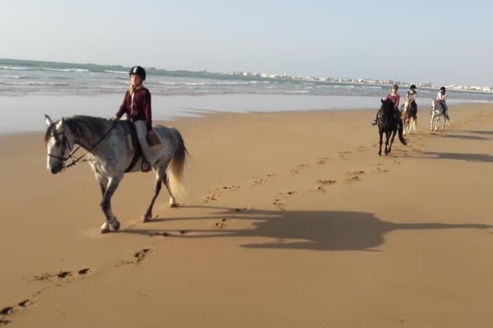 Horseback Riding on Essaouira Beach: 2-Hour Dunes, Forest & Atlantic Ride photo 2