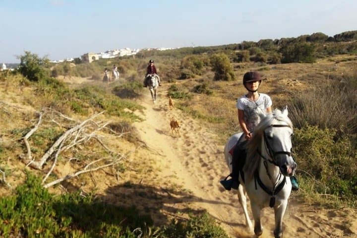 Horseback Riding on Essaouira Beach: 2-Hour Dunes, Forest & Atlantic Ride photo 4