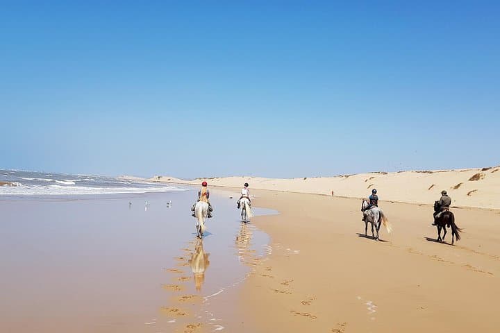 Horseback Riding on Essaouira Beach: 2-Hour Dunes, Forest & Atlantic Ride photo 5