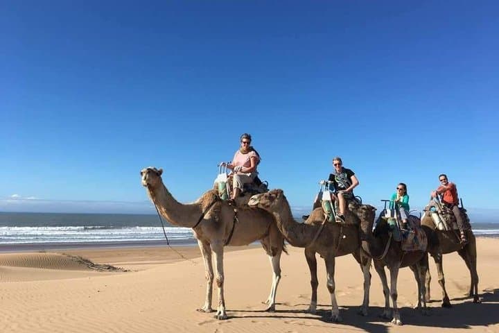 Essaouira Beach Camel Ride: 2-Hour Dunes, Forest & Atlantic Coast photo 5