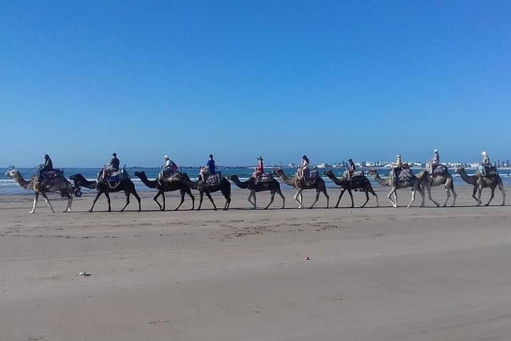Essaouira Camel Ride & Beach Picnic: Forest Trails, Dunes, Atlantic Views photo 5